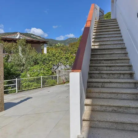 Casa Magnolia P1 Lejlighed Seccheto